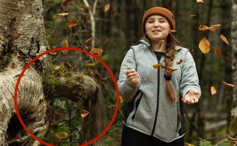 She Thought It Was Just a Strange Tree — Until the Forest Came Alive ➤ Buzzday.info