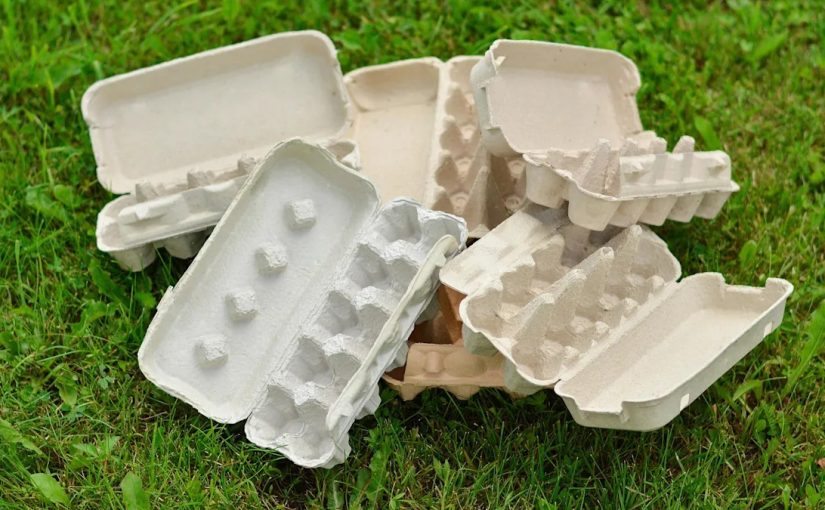 Hang an empty egg carton in your front yard… ➤ Buzzday.info
